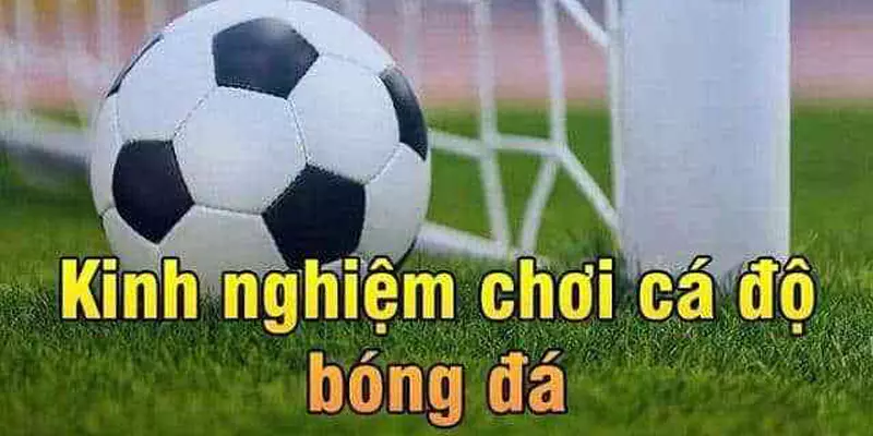 Phương pháp soi kèo cực chuẩn cho người chơi