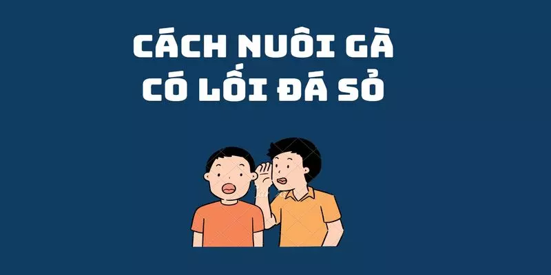 cách nuôi gà 