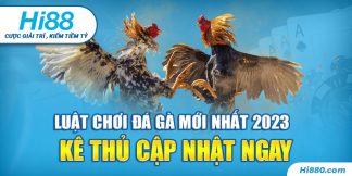 Luật chơi đá gà mới nhất 2023