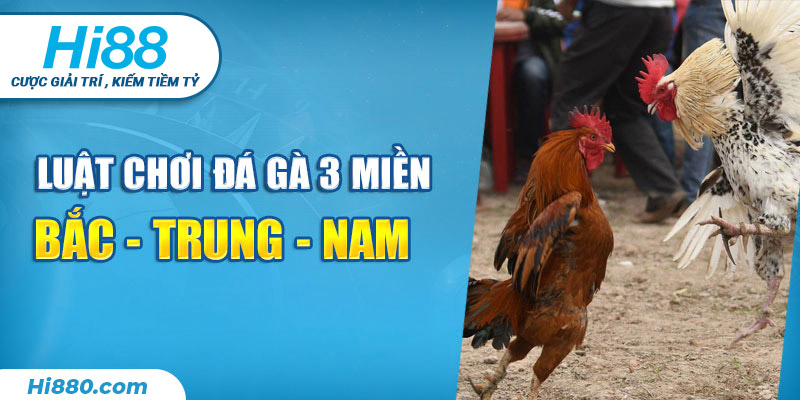 Luật chơi đá gà ba miền