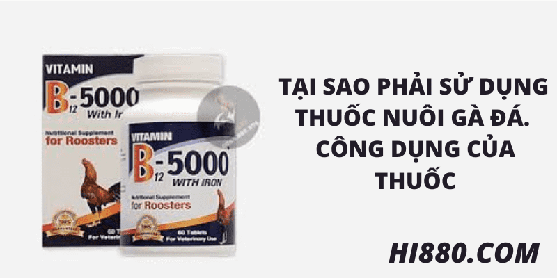 Có nên sử dụng thuốc nuôi gà đá không?