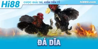 thế gà đá dĩa